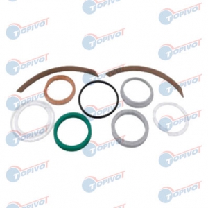 10176356 KIT