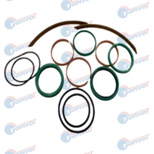 10017486 KIT